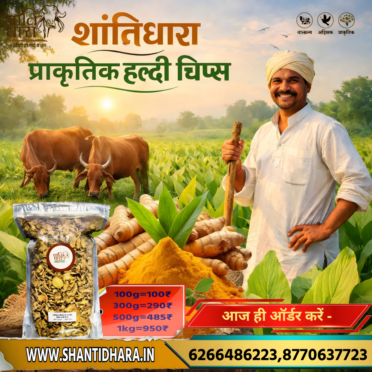 हल्दी चिप्स (प्राकृतिक) Turmeric haldi