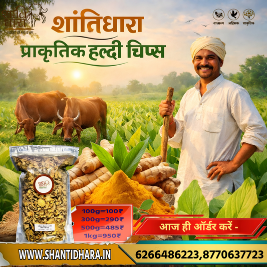 हल्दी चिप्स (प्राकृतिक) Turmeric haldi