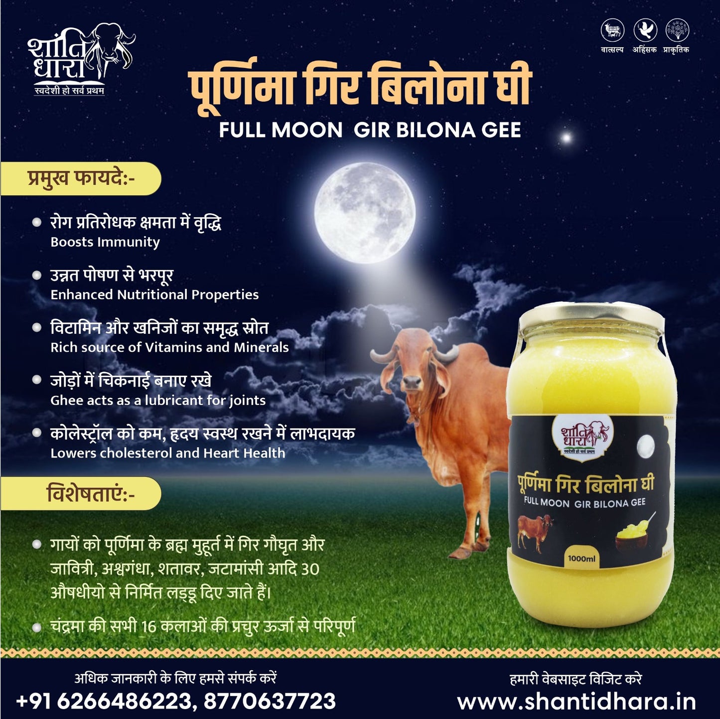 पूर्णिमा गिर बिलोना घी (FULL MOON GIR BILONA GHEE)