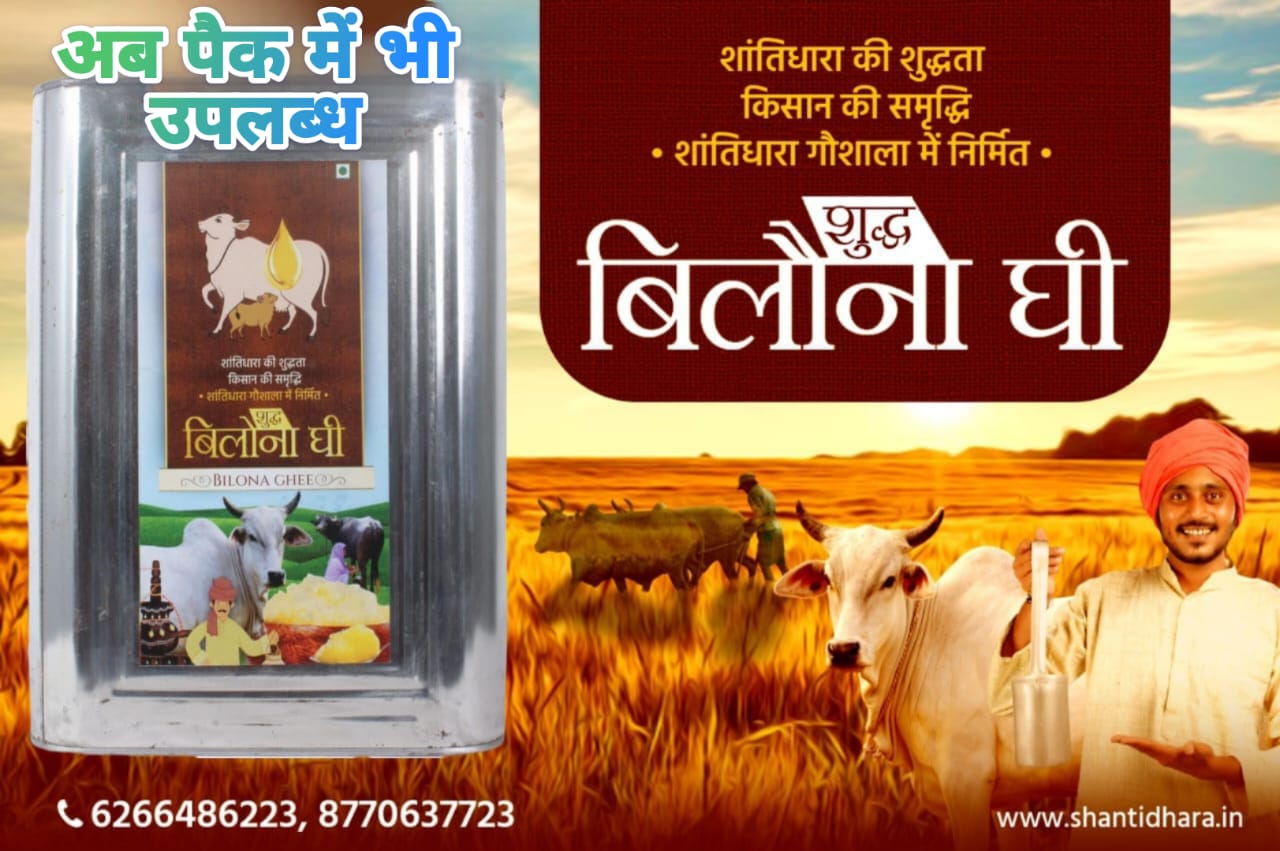 शुद्ध बिलौना घी ( Shudh bilona Ghee)